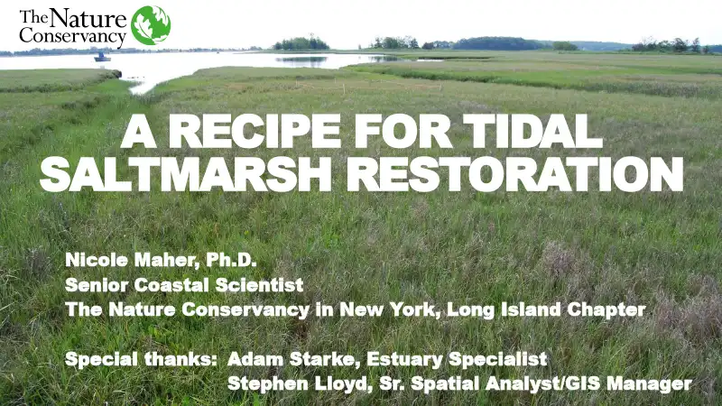 July 2019 Forum – Marsh Madness