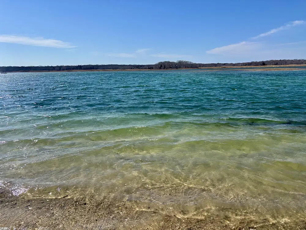 221-223 Gerard Dr Properties & Water Quality in Accabonac Harbor