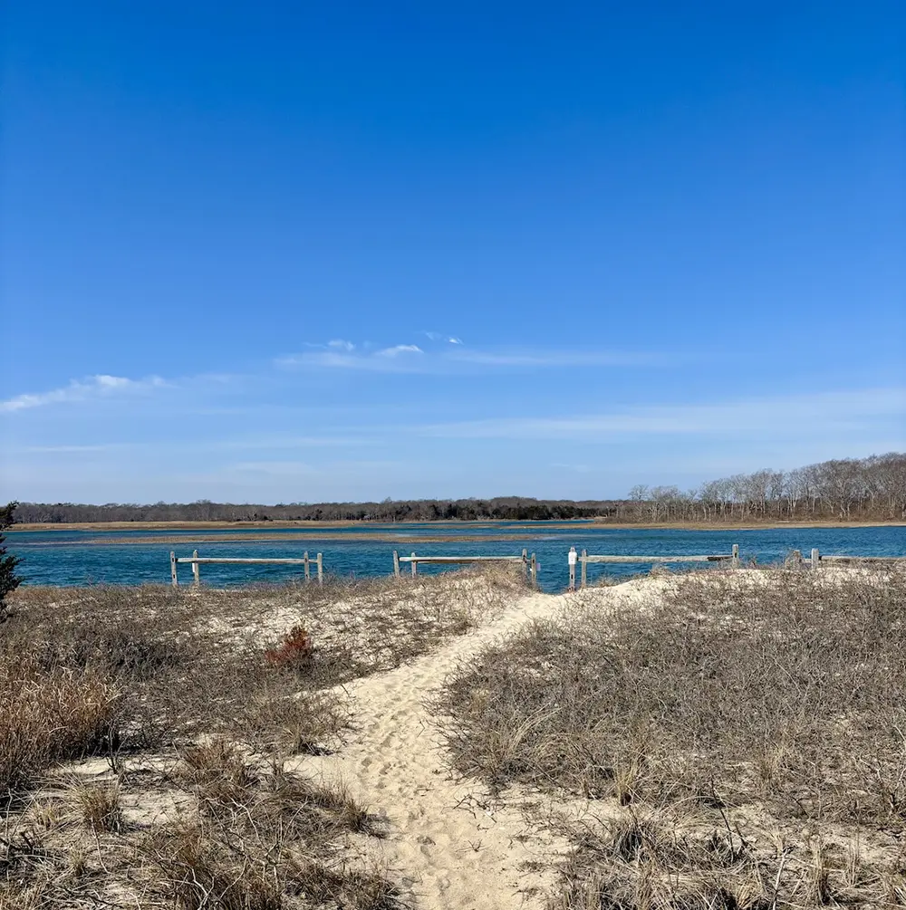 Spring Update for Accabonac Harbor