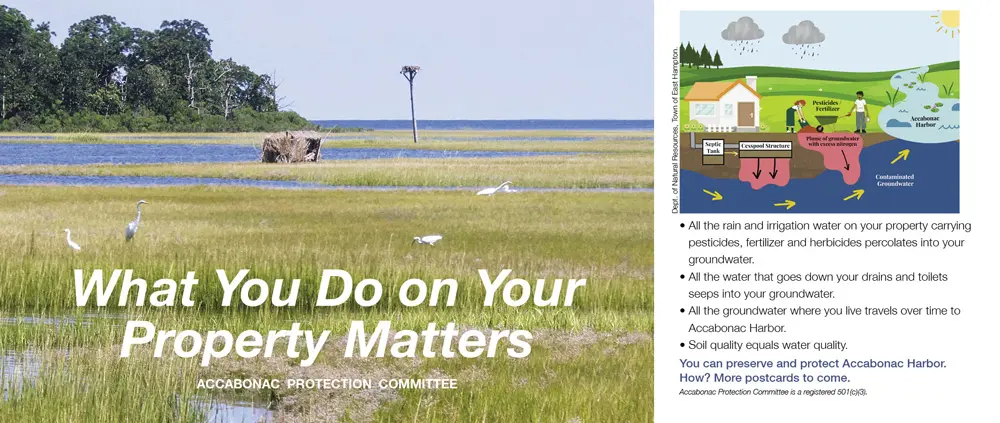 What You Do On Your Property Matters
