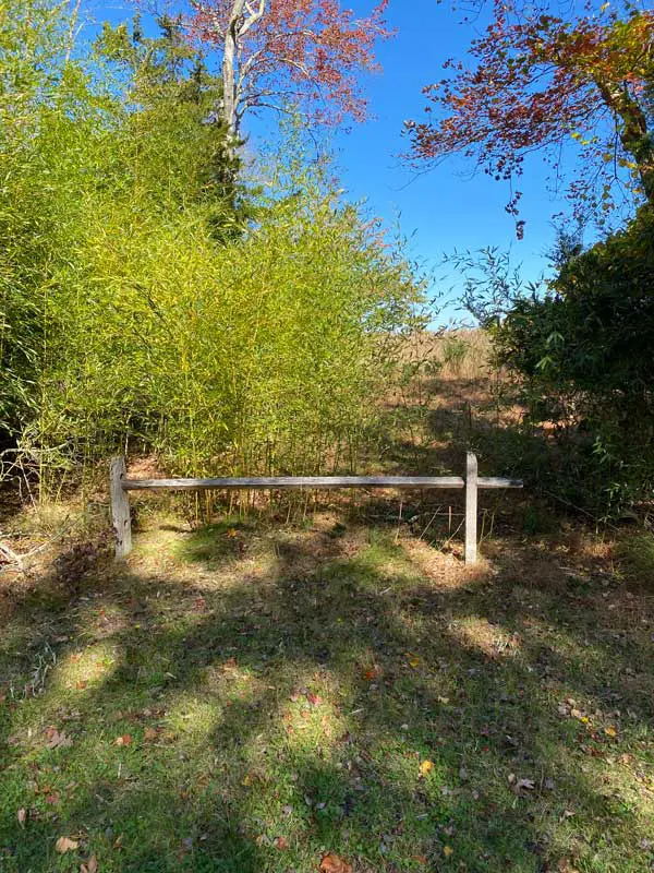 APC Petition to Remove Bamboo
