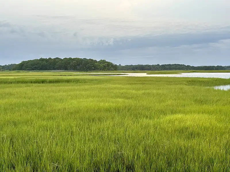 Long-term planning for water quality monitoring, and remediation