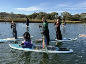 Witches and Websites and Eelgrass, oh my!